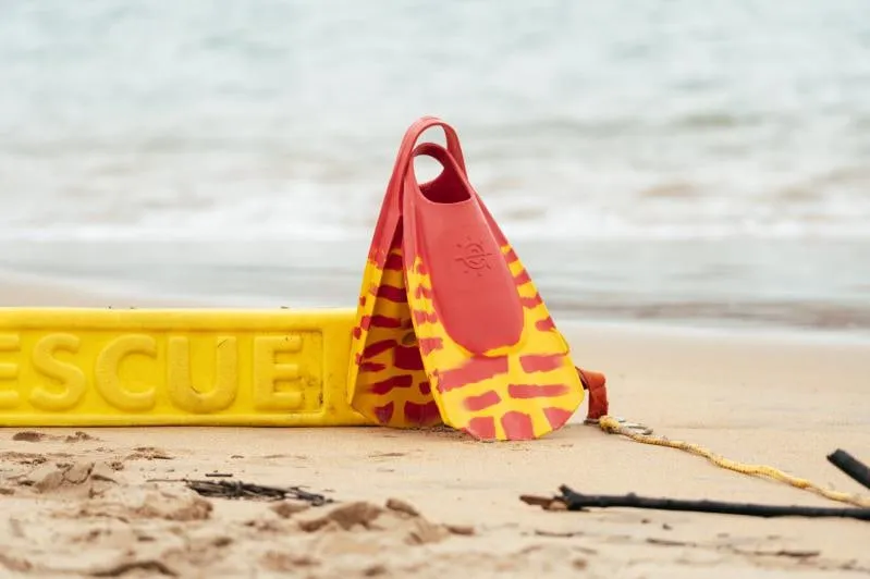 Une palme et une bouée tube rouge et jaune posées sur le sable.